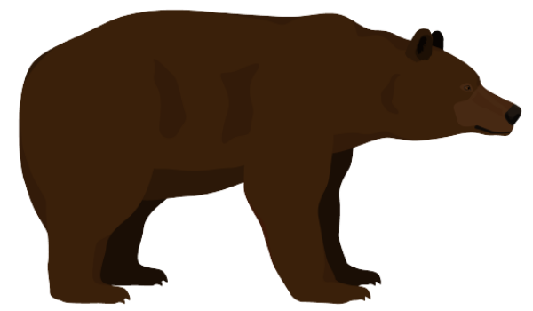 動物睡眠クロノタイプ：クマ型