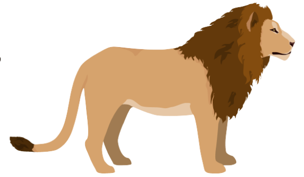 動物睡眠クロノタイプ：ライオン型